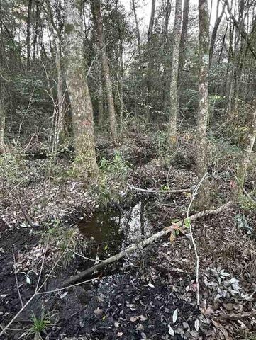 6540 Viewpoint Road, Eight Mile, AL 36613