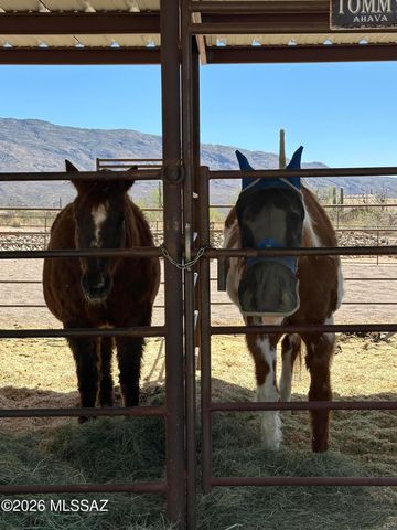 2305 N El Camino Rinconado, Tucson, AZ 85749