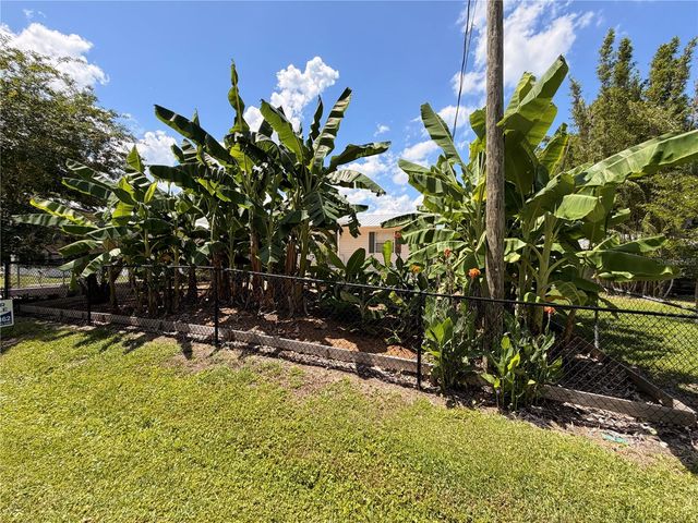 24521 ALLIGATOR ROAD, Astor, FL 32102