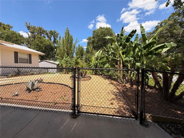 24521 ALLIGATOR ROAD, Astor, FL 32102