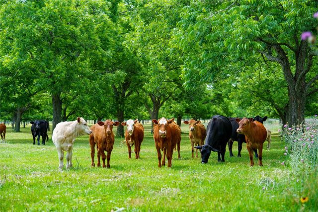 4898 Fm 2616, Hallettsville, TX 77964