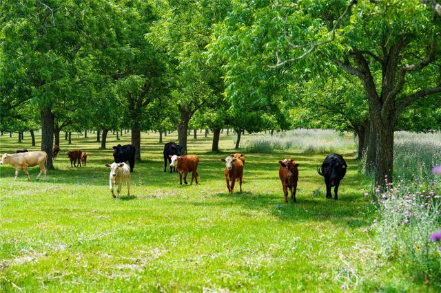 4898 Fm 2616, Hallettsville, TX 77964