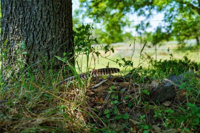 4898 Fm 2616, Hallettsville, TX 77964