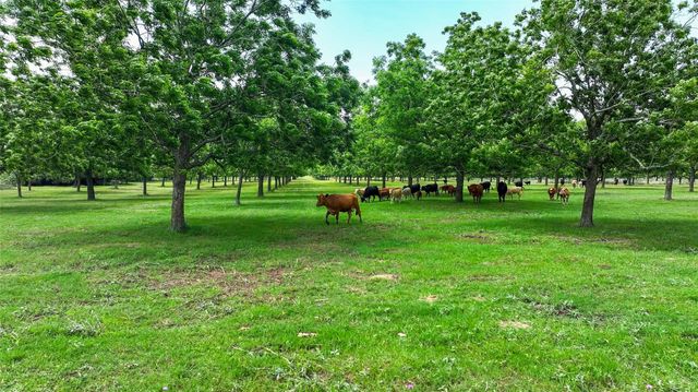 4898 Fm 2616, Hallettsville, TX 77964