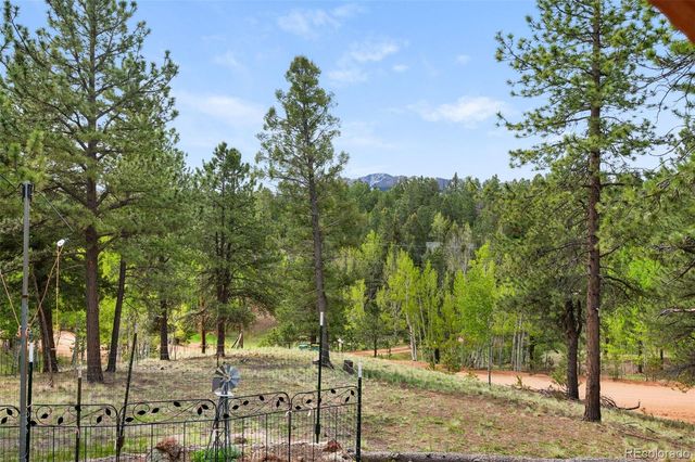 126 Aspen Circle, Divide, CO 80814
