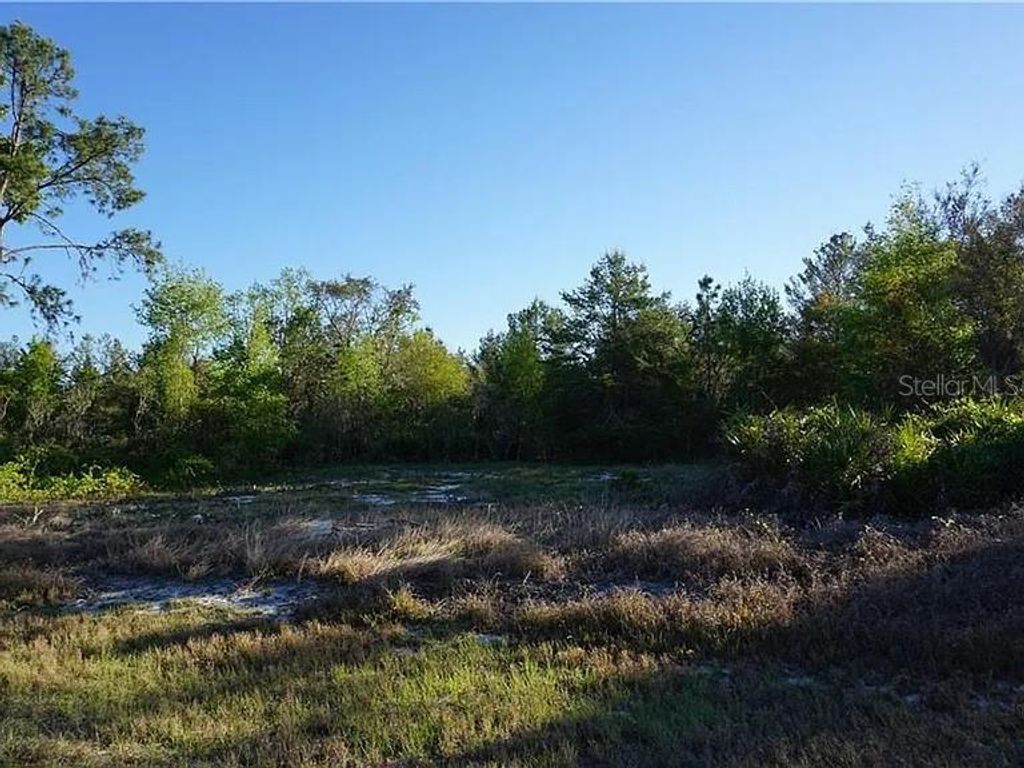 Image 4 of property listing at 1327 ST AUGUSTINE COURT, Kissimmee, FL 34759