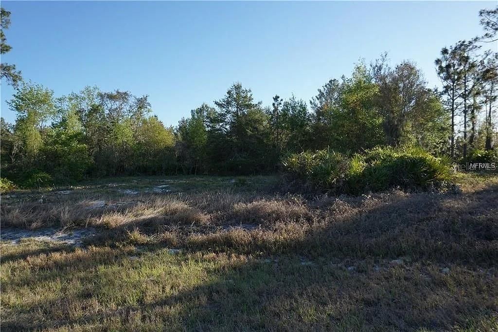 Image 5 of property listing at 1327 ST AUGUSTINE COURT, Kissimmee, FL 34759