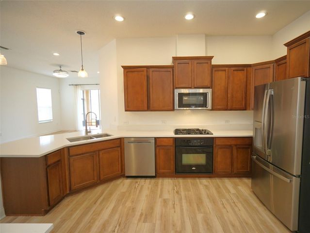 20638 AMANDA OAK COURT, Land O Lakes, FL 34638