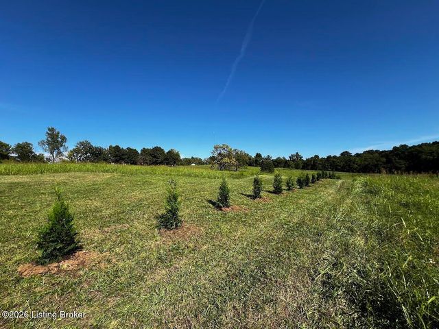 225 Donna Ave, Taylorsville, KY 40071