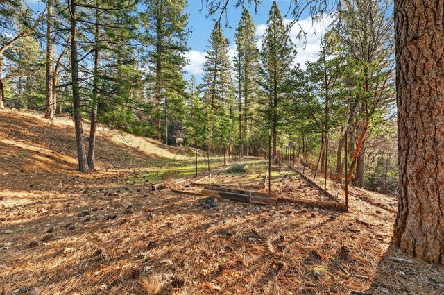 6410 Log Cabin Ln, Placerville, CA 95667