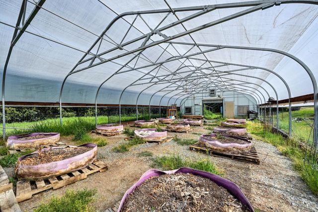 3680 Greenwood Rd, Greenwood, CA 95635