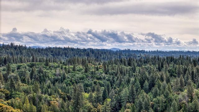 3680 Greenwood Rd, Greenwood, CA 95635