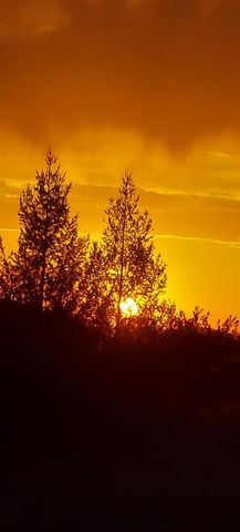 3680 Greenwood Rd, Greenwood, CA 95635