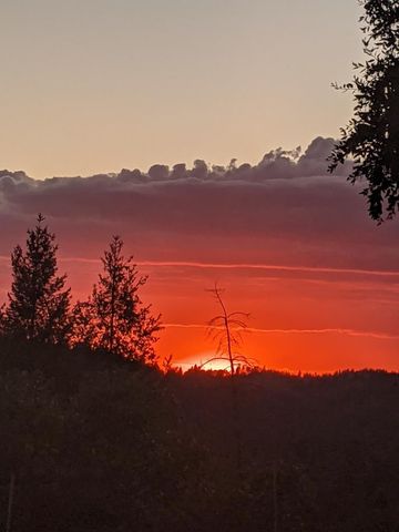 3680 Greenwood Rd, Greenwood, CA 95635