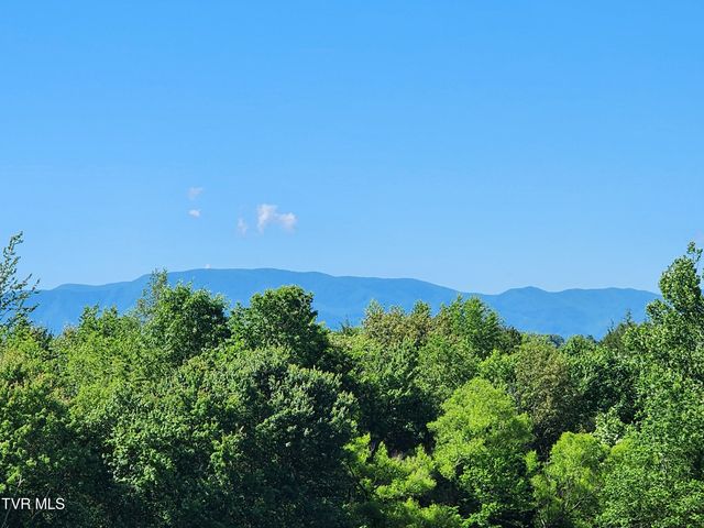 940 Opie Arnold Road, Limestone, TN 37681