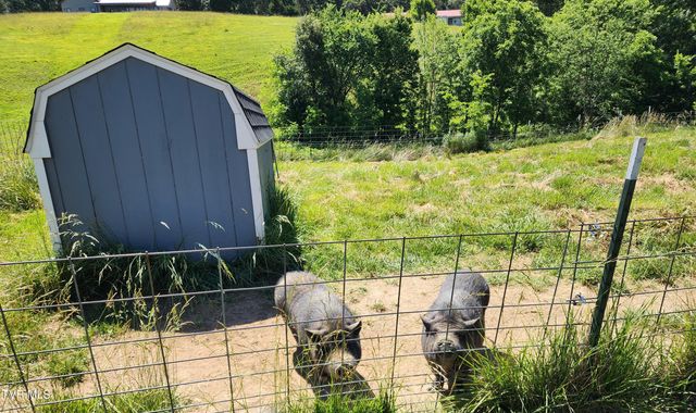 940 Opie Arnold Road, Limestone, TN 37681