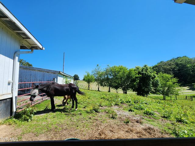 940 Opie Arnold Road, Limestone, TN 37681