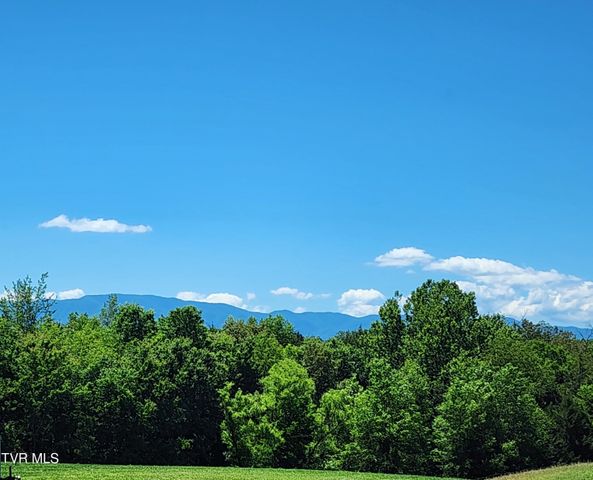 940 Opie Arnold Road, Limestone, TN 37681