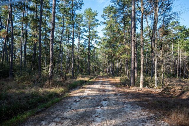 Off County Road 2670, Chester, TX 75936