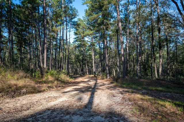 Off County Road 2670, Chester, TX 75936