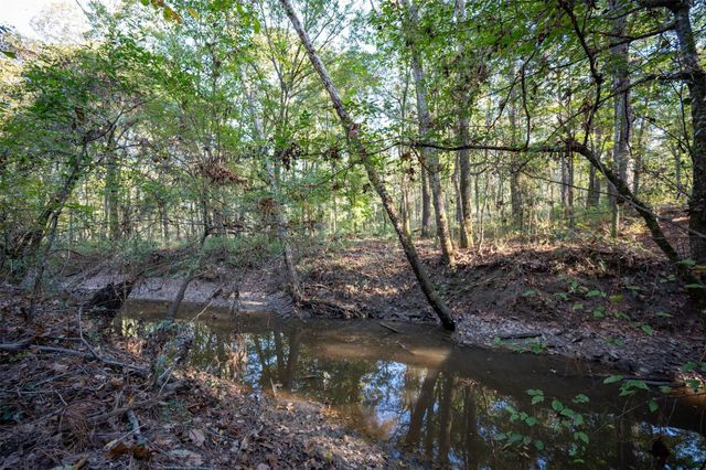 Off County Road 2670, Chester, TX 75936