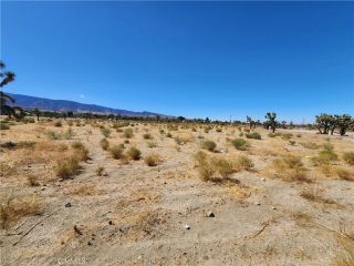 11226 Primavera, Pinon Hills, CA 92372