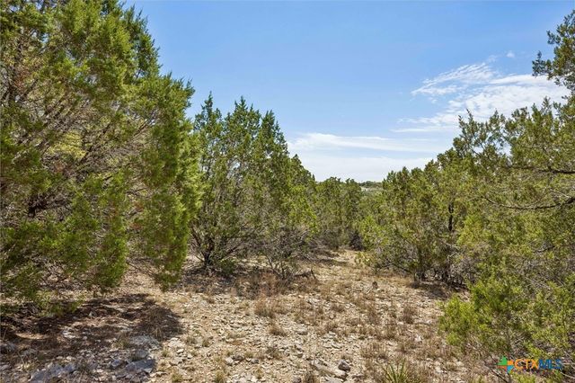 1082 Madrone Road, Fischer, TX 78623