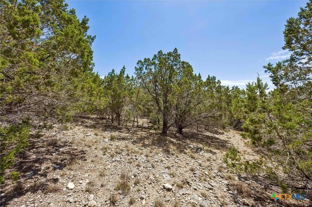 1082 Madrone Road, Fischer, TX 78623