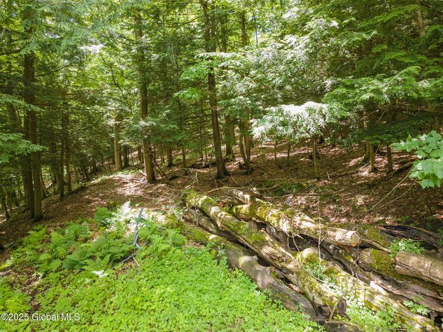 257 Lake Road, Cobleskill, NY 12043