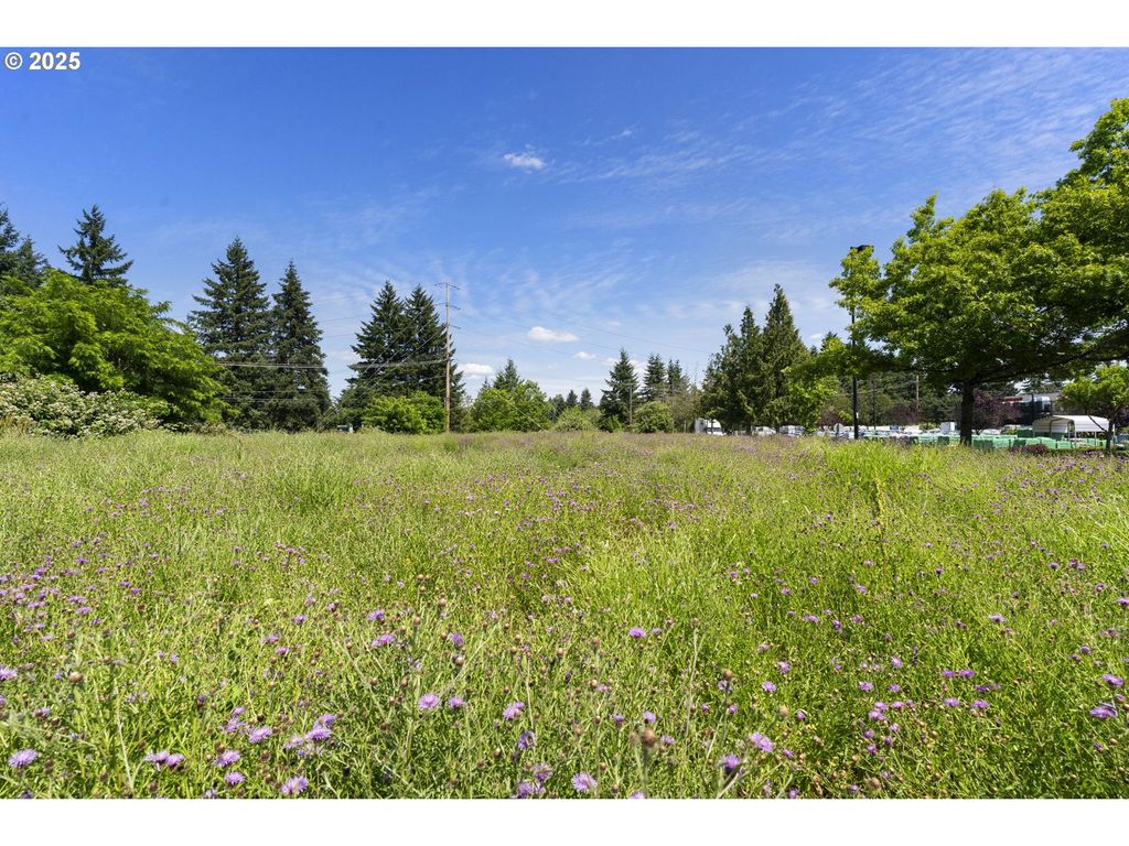8712 Ne CENTERPOINTE Dr, Vancouver, WA 98665