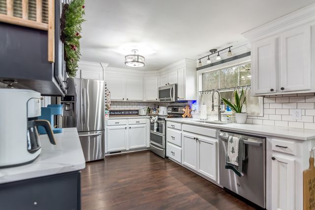 960 Coles Crossing Road, Mineral Bluff, GA 30559