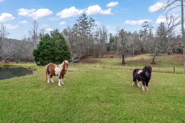 960 Coles Crossing Road, Mineral Bluff, GA 30559