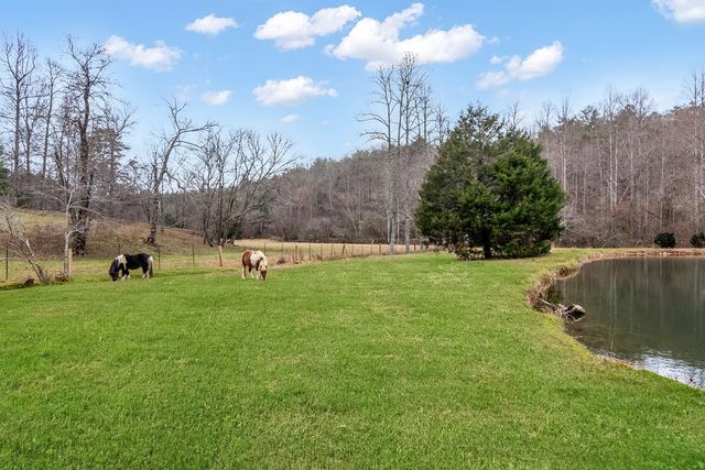 960 Coles Crossing Road, Mineral Bluff, GA 30559