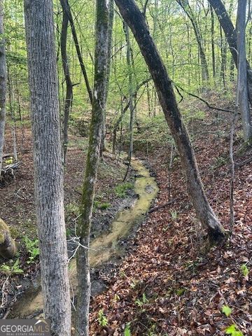 0 Bullock Bridge Road TRACT 3, Monroe, GA 30656