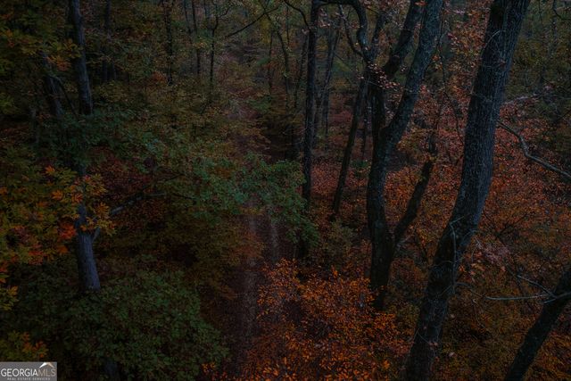 0 Bullock Bridge Road TRACT 3, Monroe, GA 30656