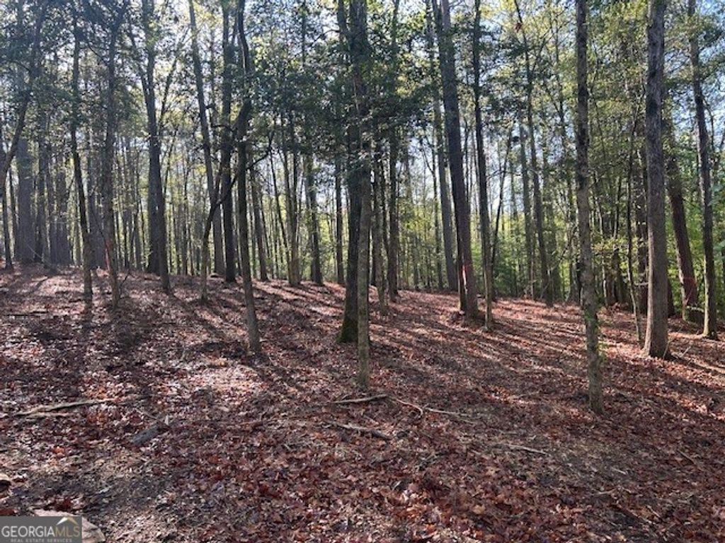 0 Bullock Bridge Road TRACT 3, Monroe, GA 30656