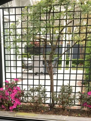 1033 Highland Street, Houston, TX 77009