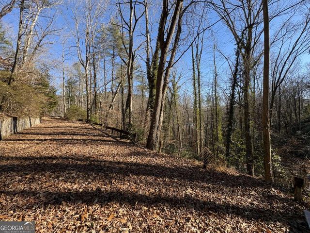 170 Old Gold Mine Trail, Helen, GA 30545