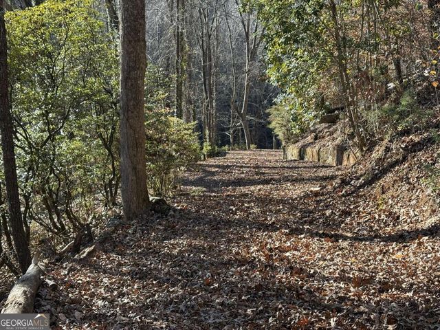 170 Old Gold Mine Trail, Helen, GA 30545