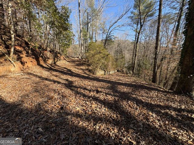 170 Old Gold Mine Trail, Helen, GA 30545