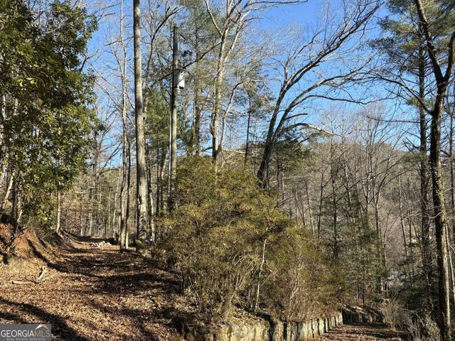 170 Old Gold Mine Trail, Helen, GA 30545