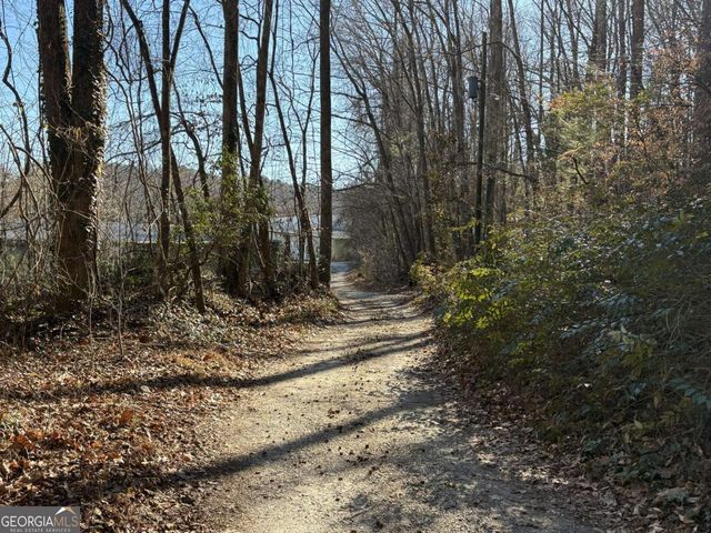170 Old Gold Mine Trail, Helen, GA 30545