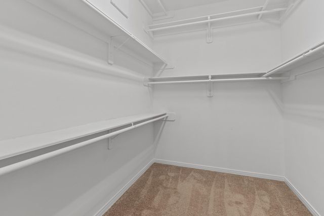 1319 Oneil Street, Houston, TX 77019