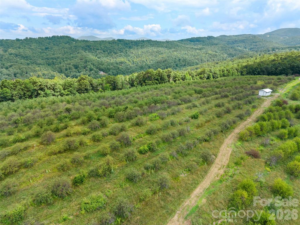 0 Summer Road 6, Hendersonville, NC 28792