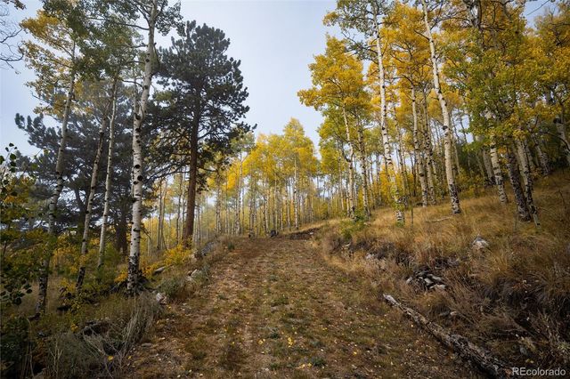 0 Robinson Hill Road, Golden, CO 80403