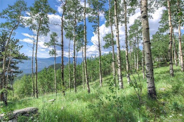 0 Robinson Hill Road, Golden, CO 80403