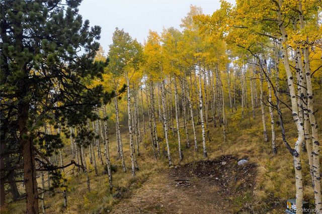 0 Robinson Hill Road, Golden, CO 80403