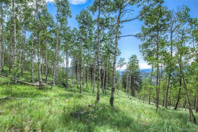 0 Robinson Hill Road, Golden, CO 80403