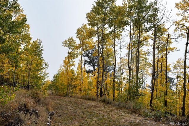 0 Robinson Hill Road, Golden, CO 80403