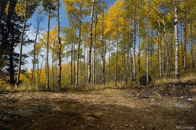 0 Robinson Hill Road, Golden, CO 80403